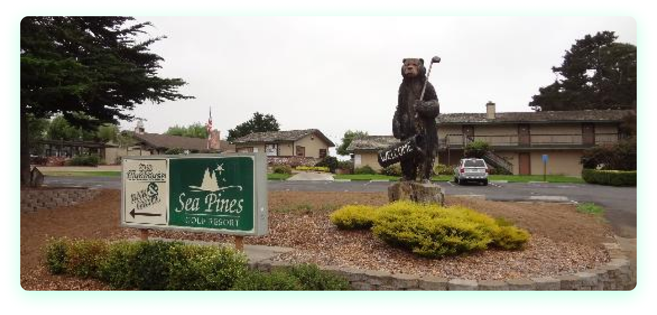 sea pines photo